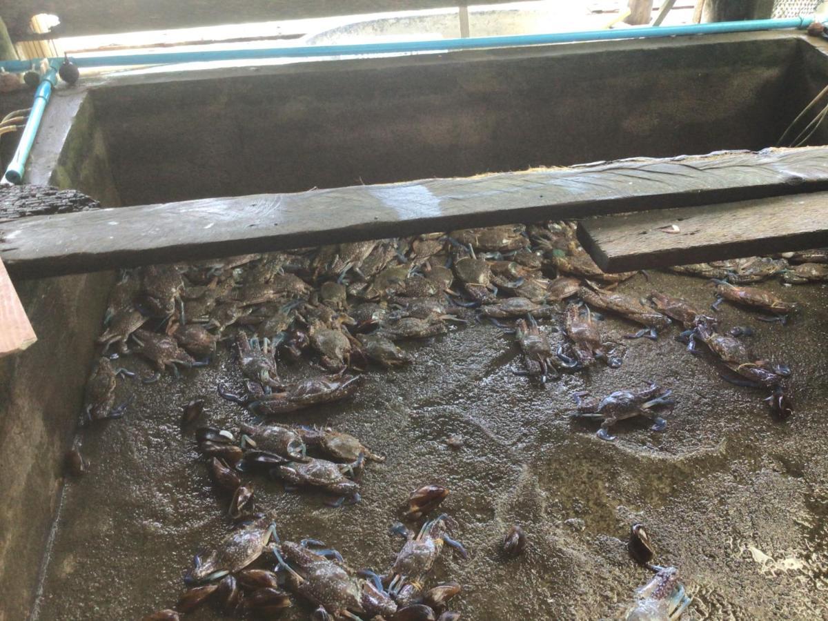 Homestay&Chaoleyseafoodrestaurant Ko Pu Zewnętrze zdjęcie